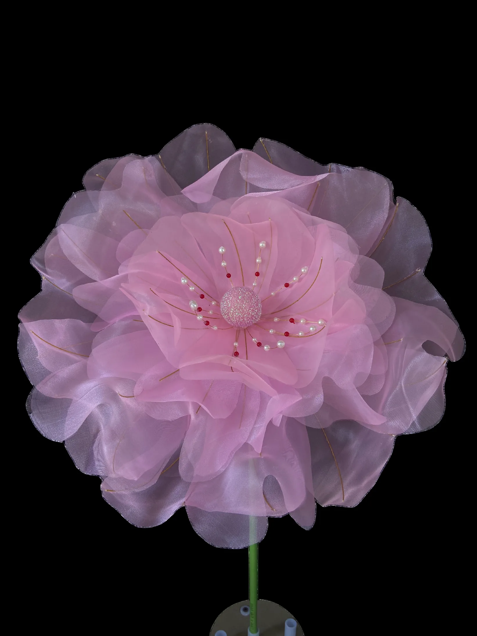 Shade 12