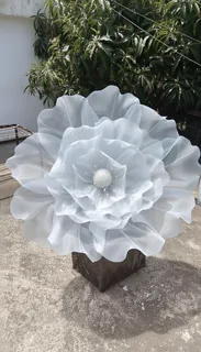 Shade 13